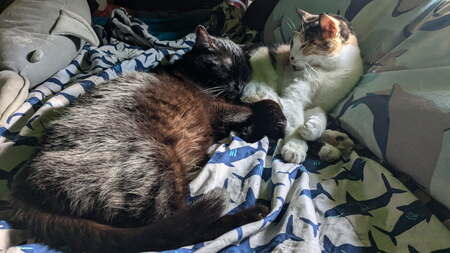 Emma and Rosie