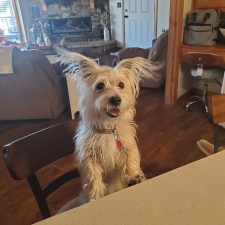 Charlee