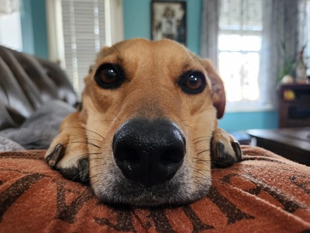 Buster