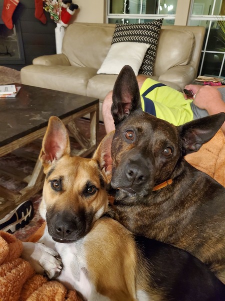 Shasta and Gypsy