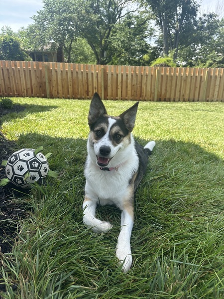 Sammy