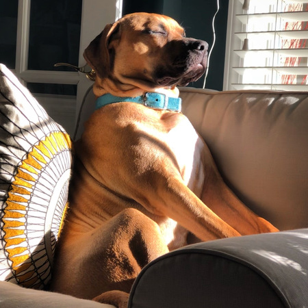 Penny