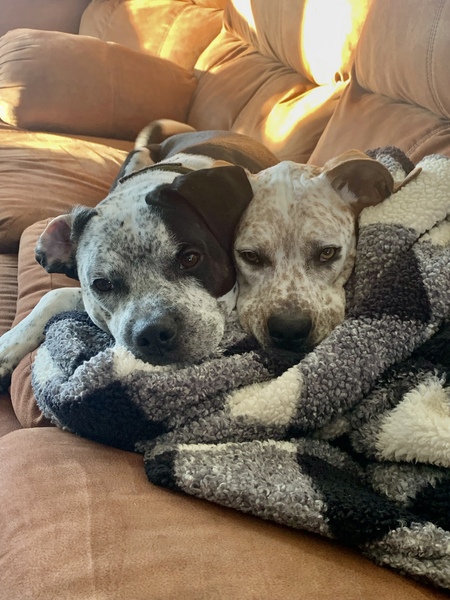 Paco and Maylee