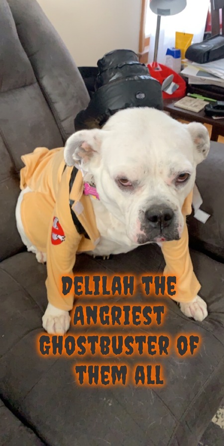 Delilah Horn