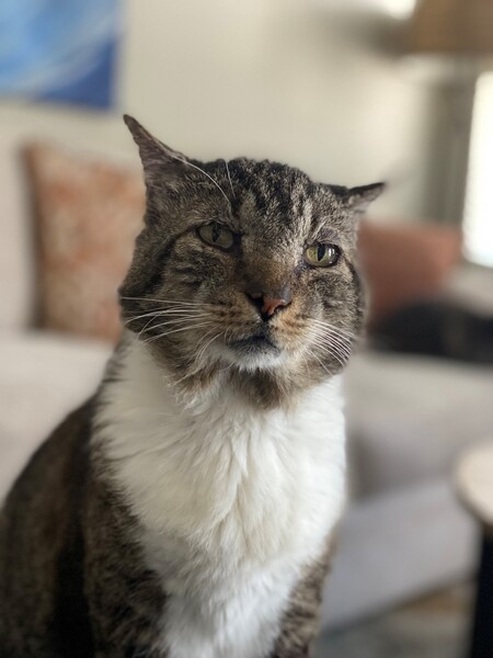 Henry