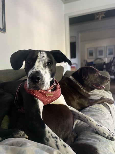 Kailo & Freya