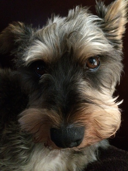 Parker