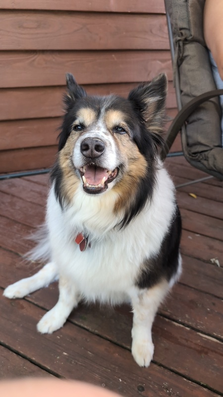 Kobi 