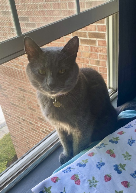 Winston