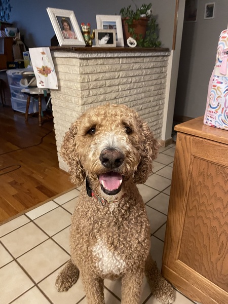 Walter