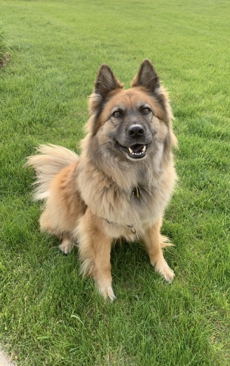 Juno