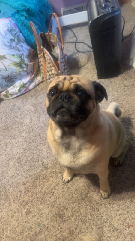 Otis