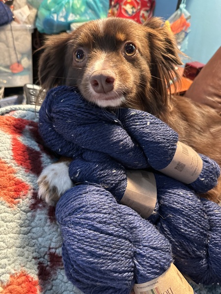 Norbert 