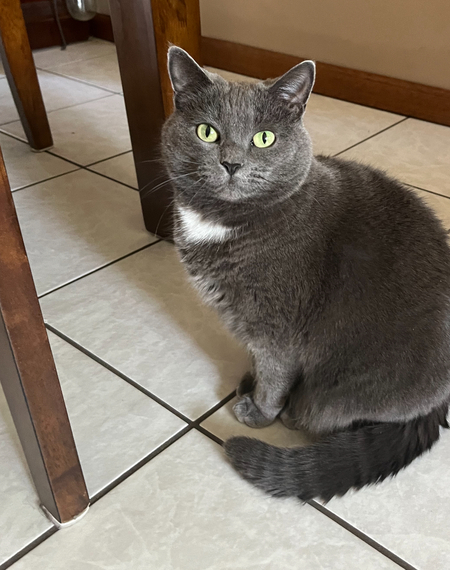 Charcoalina 