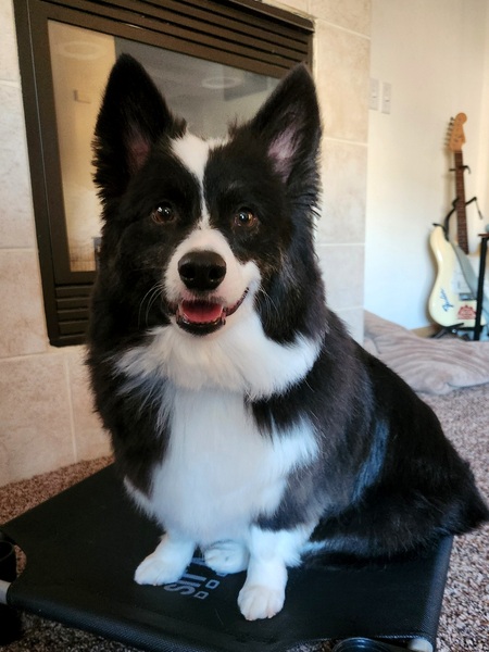 Walter