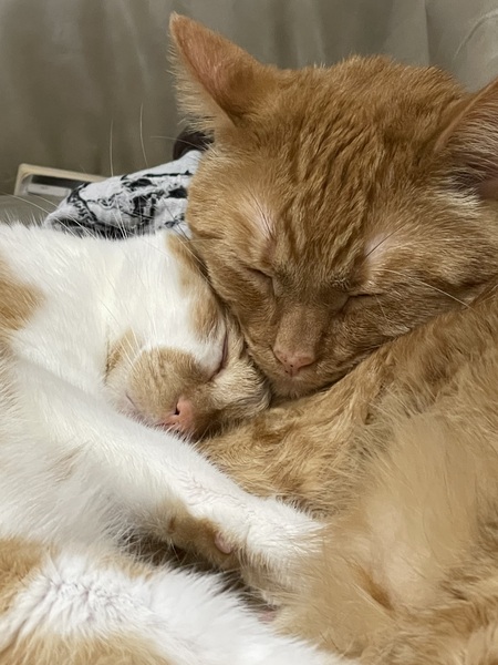 Sazed and Kelsier 