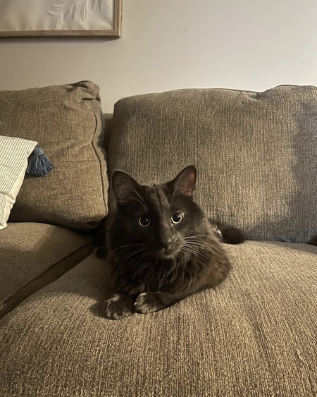 Thackery Binx 