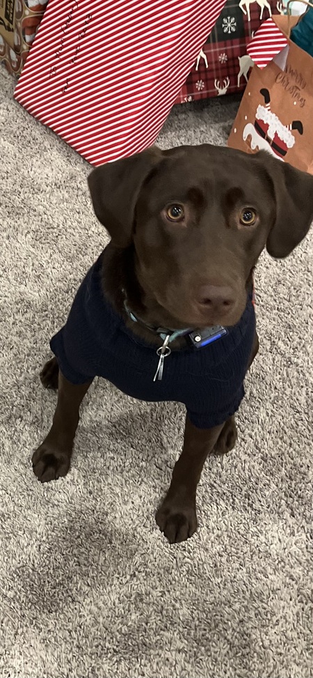 Mocha Jo