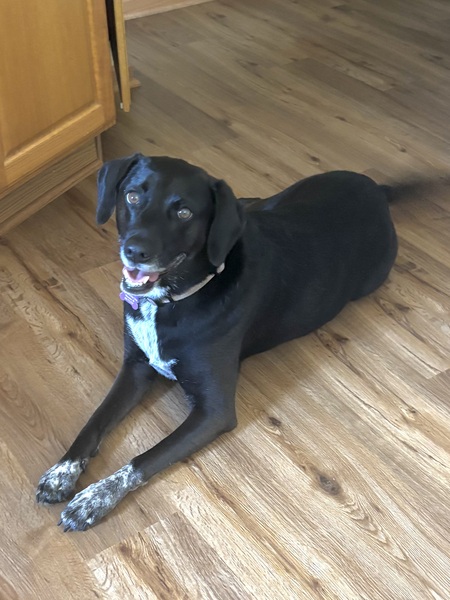 Sadie