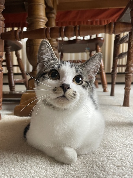 Mildred