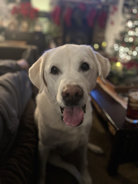 Steve