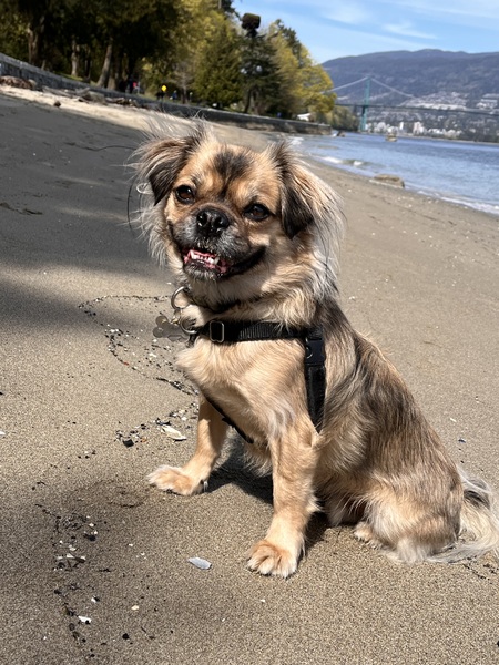 Oscar