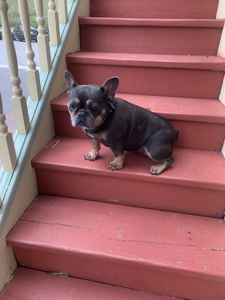 Frannie