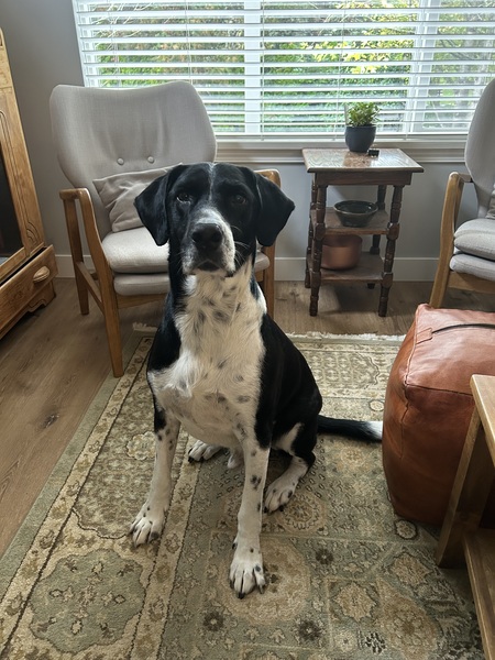 Beau