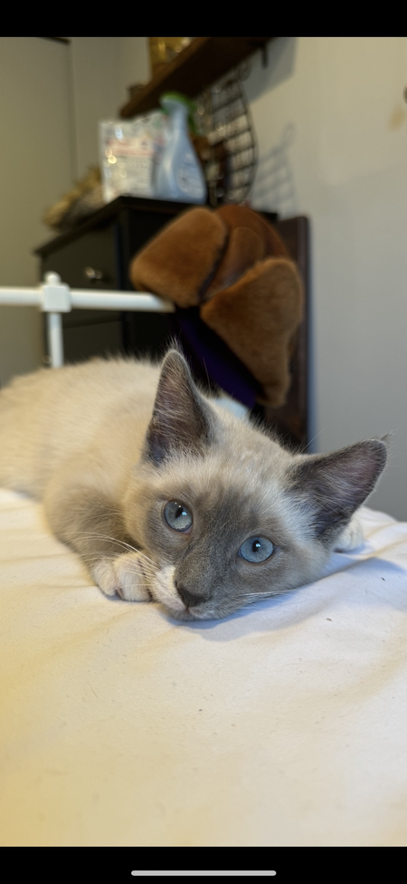 Finley
