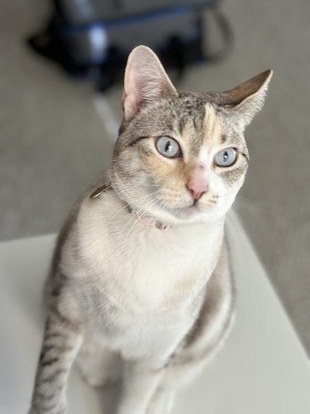 Quinn