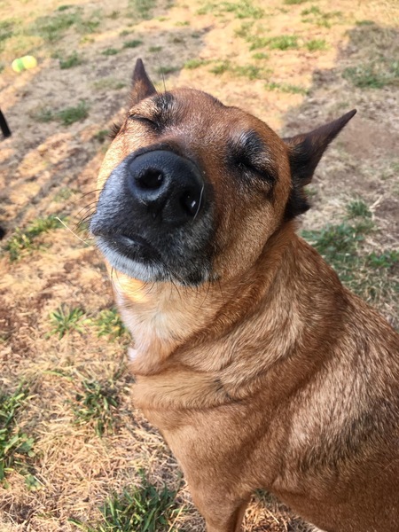 Nikita