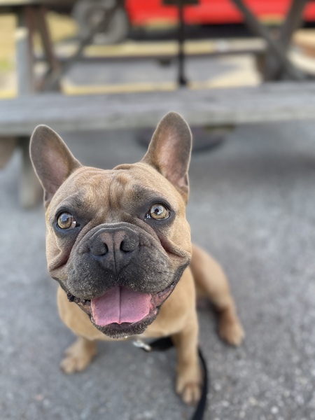 Marvin