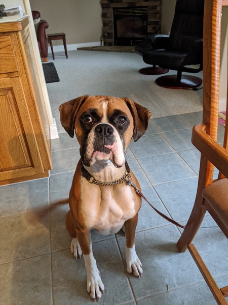 Watson