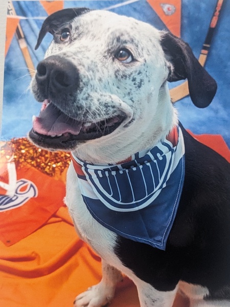 Max