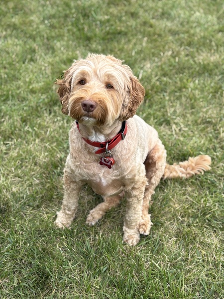 Tucker