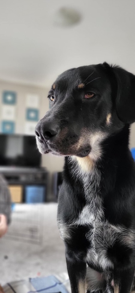 Winston