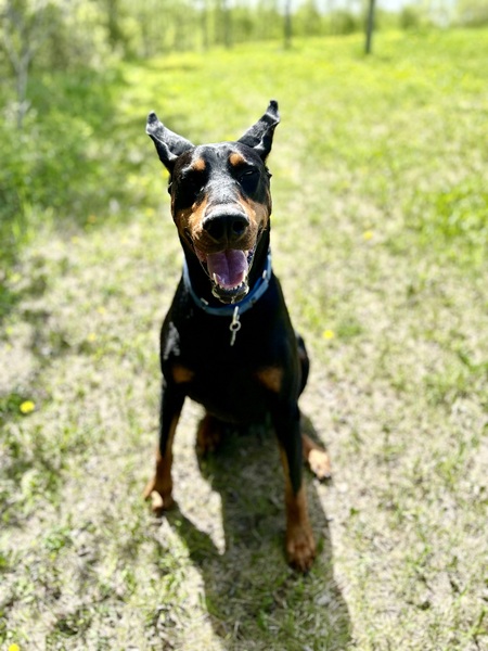 Valentino 
