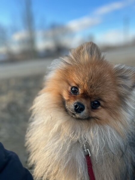 Benny