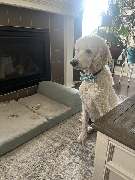 Benny 