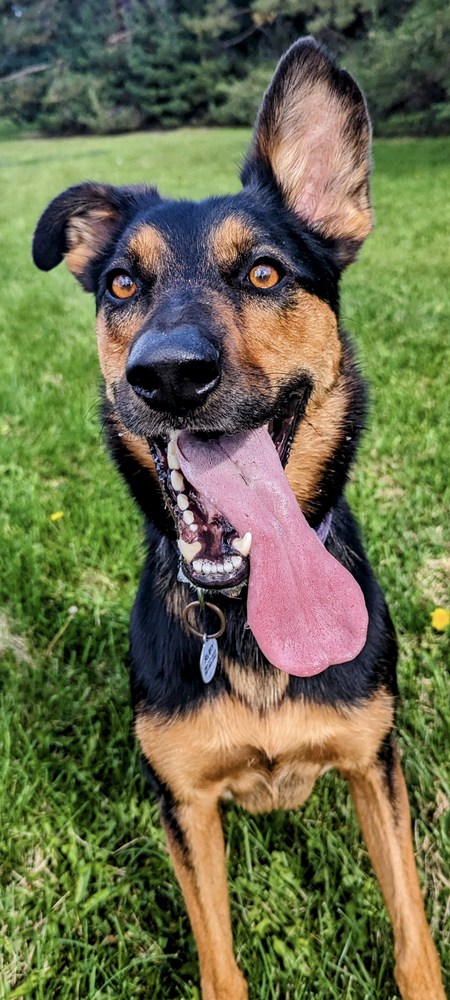 Ruby