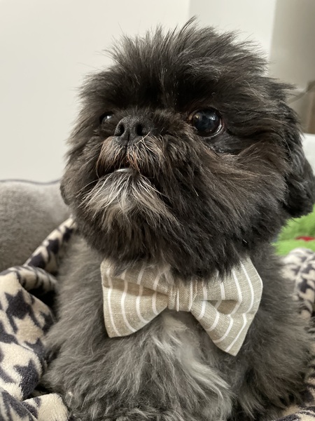 Chuey 
