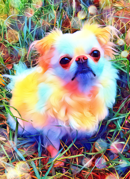 Opal 
