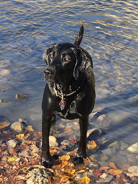 Darby