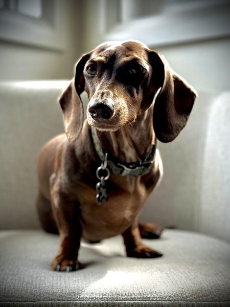 Walter