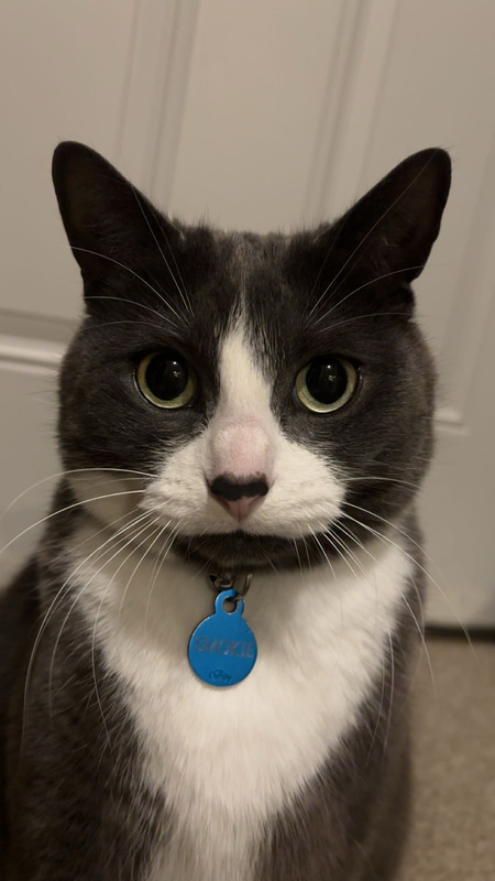 smokie