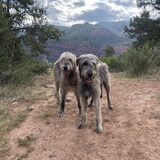 Entry image for Rosie and Norman