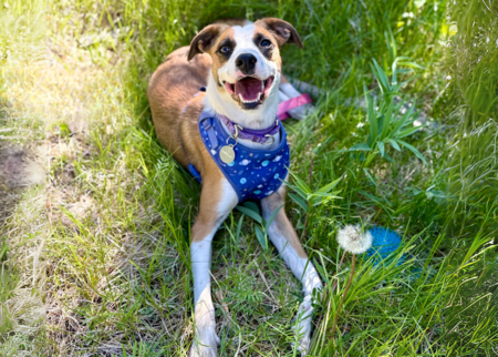 Barclay