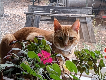 Rusty