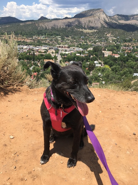 Roxy