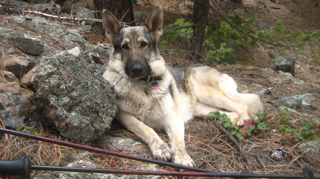 Meeka